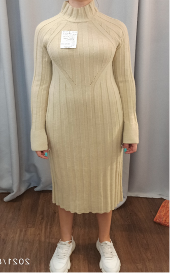 Women Sweater 