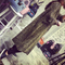 Wholesale best selling long lurex cardigan coat sweater for ladies women